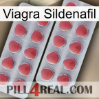 Viagra Sildenafil 19